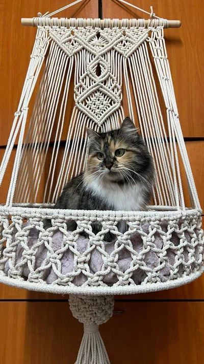 Котогамак